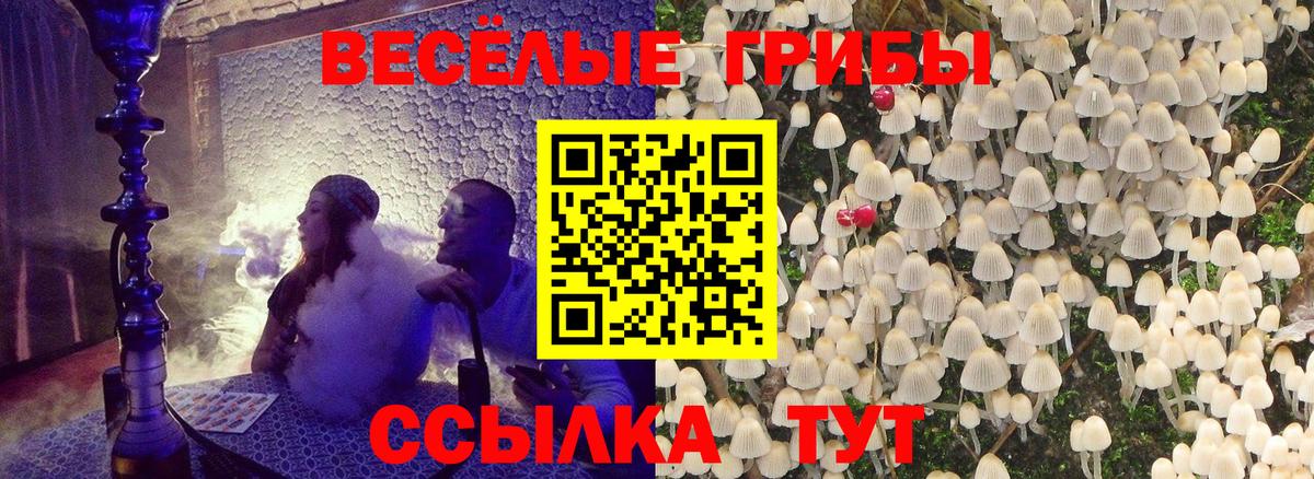 Галлюциногенные грибы мицелий Псков